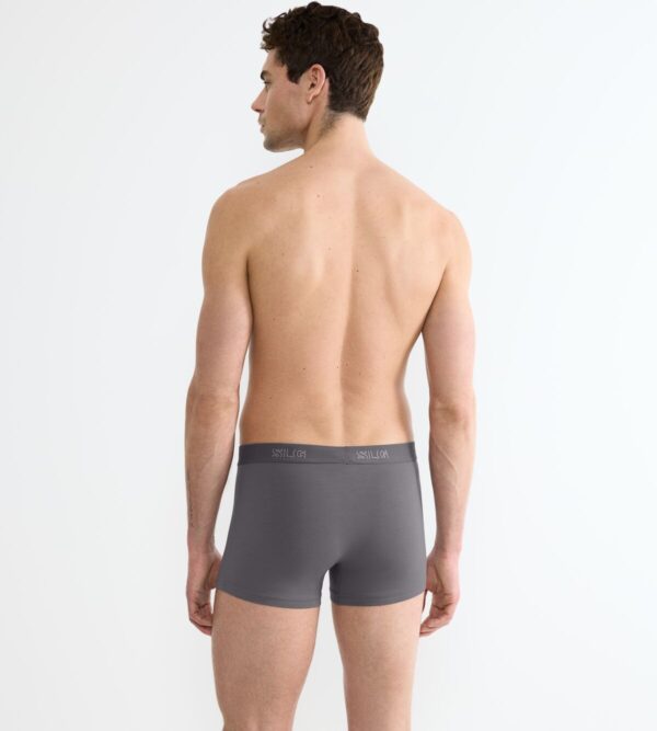 SLOGGI SLG BASE TRUNK С2P Серый